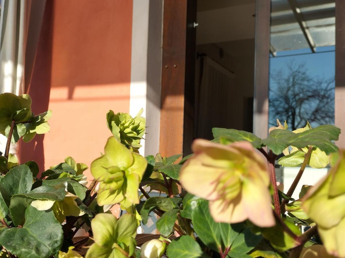 B&B Terre Di Bea Pederobba Exterior foto