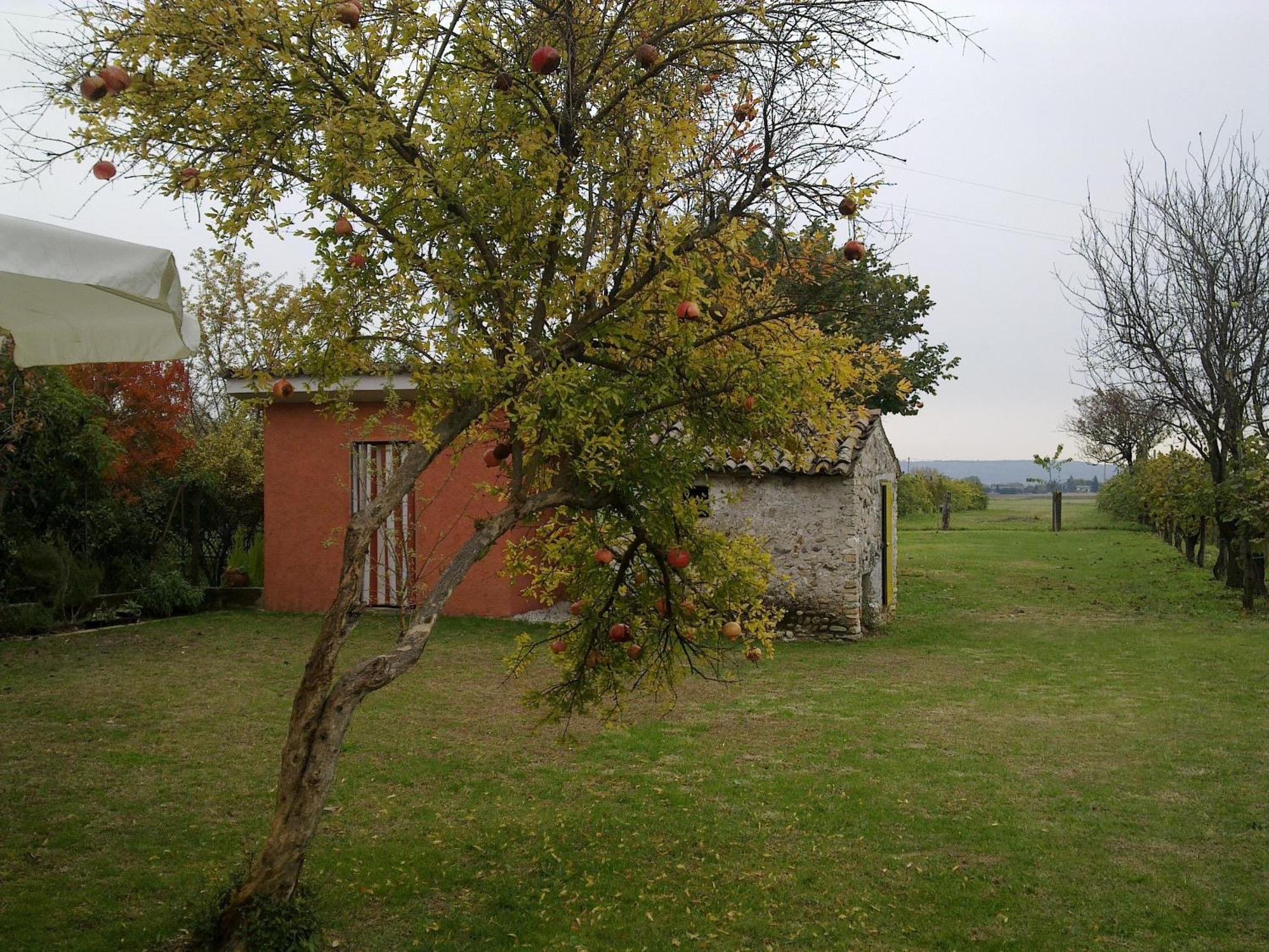 B&B Terre Di Bea Pederobba Exterior foto