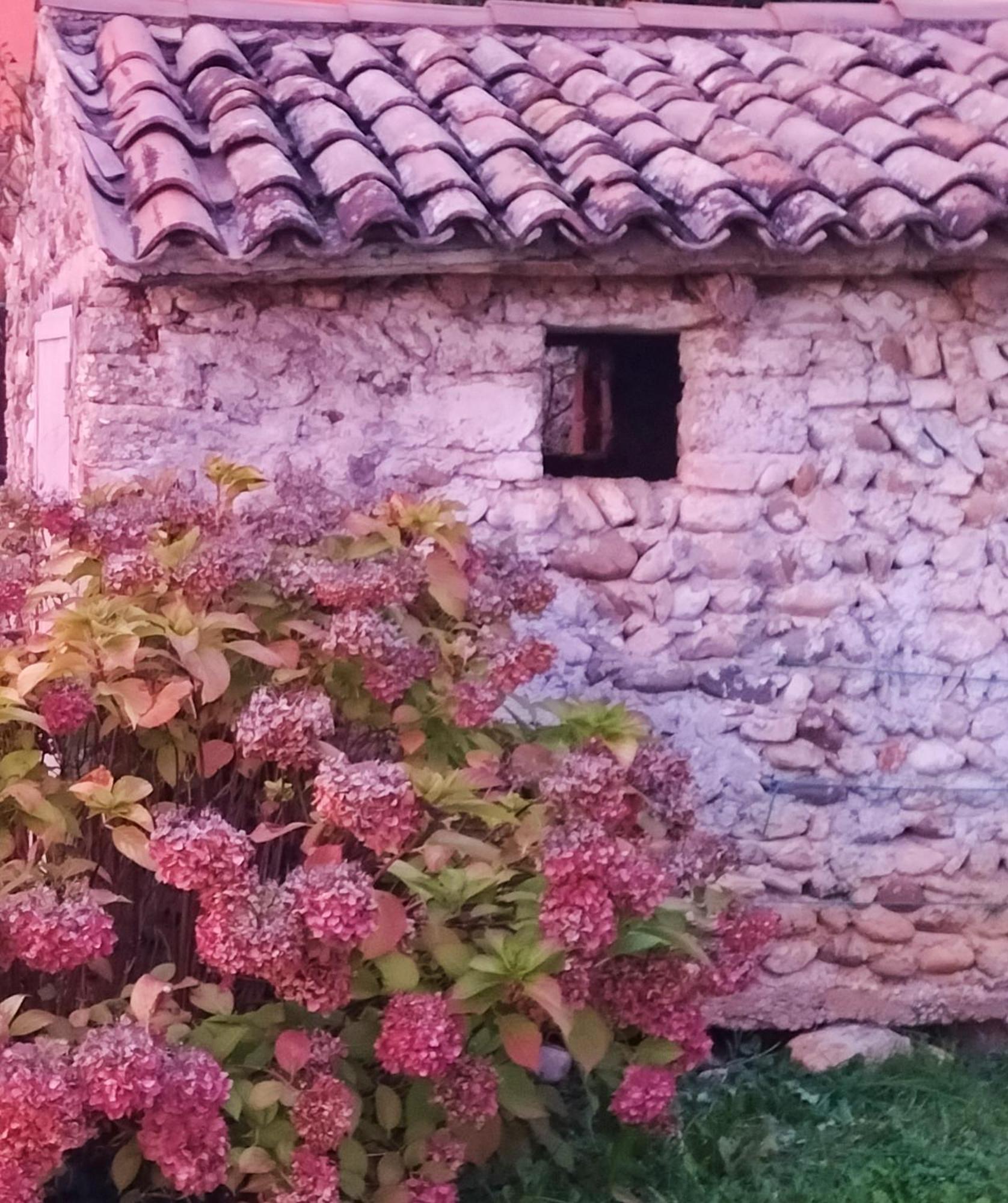 B&B Terre Di Bea Pederobba Exterior foto